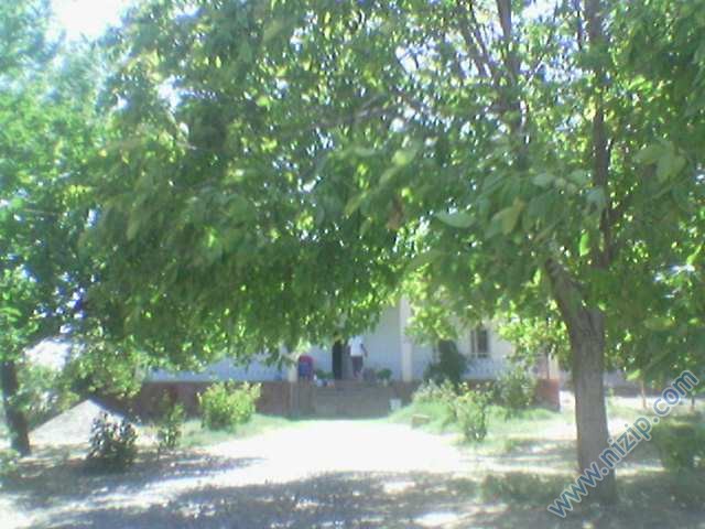 özataş 