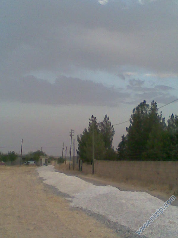 özaslan 