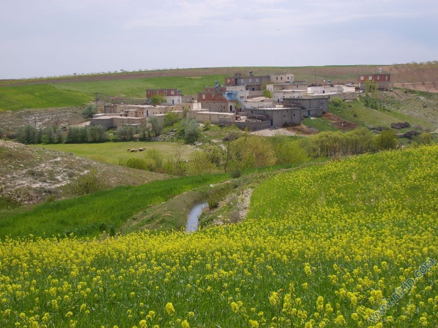 DANAOĞLU KÖYÜ(İNTEPE KÖYÜ) 