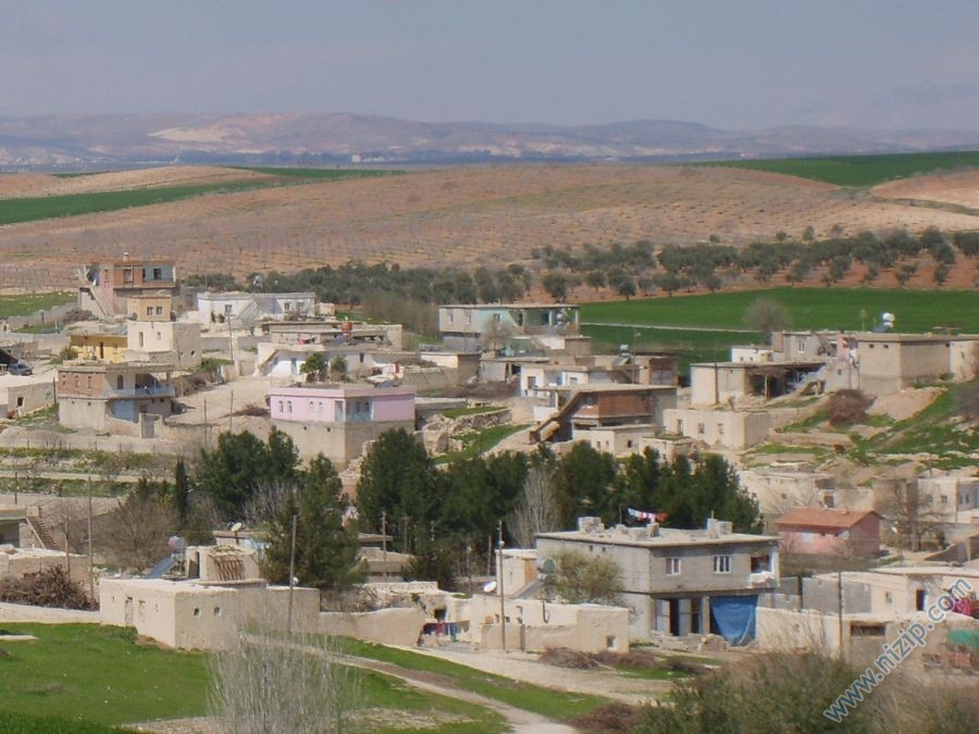 DANAOĞLU KÖYÜ(İNTEPE KÖYÜ) 