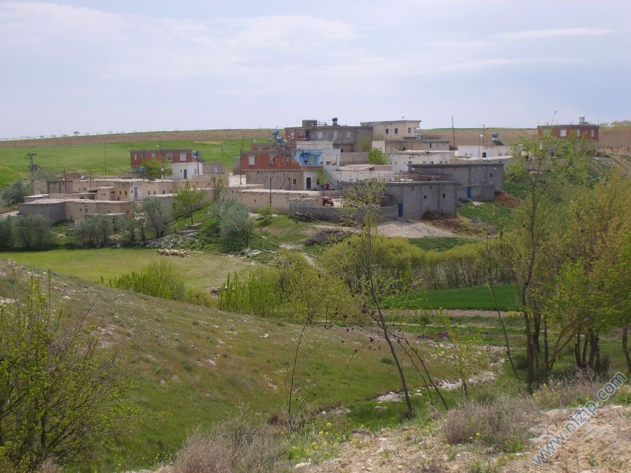 DANAOĞLU KÖYÜ-PINARBAŞI MEZRASI 