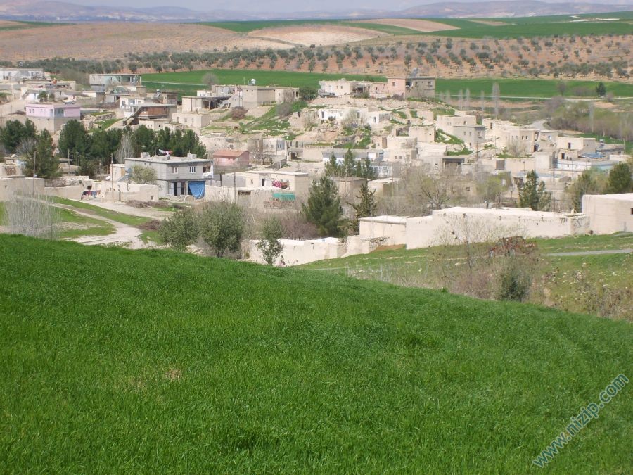 DANAOĞLU KÖYÜ(İNTEPE) 