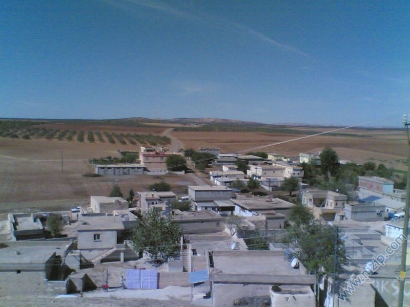 dazhüyük köyü 