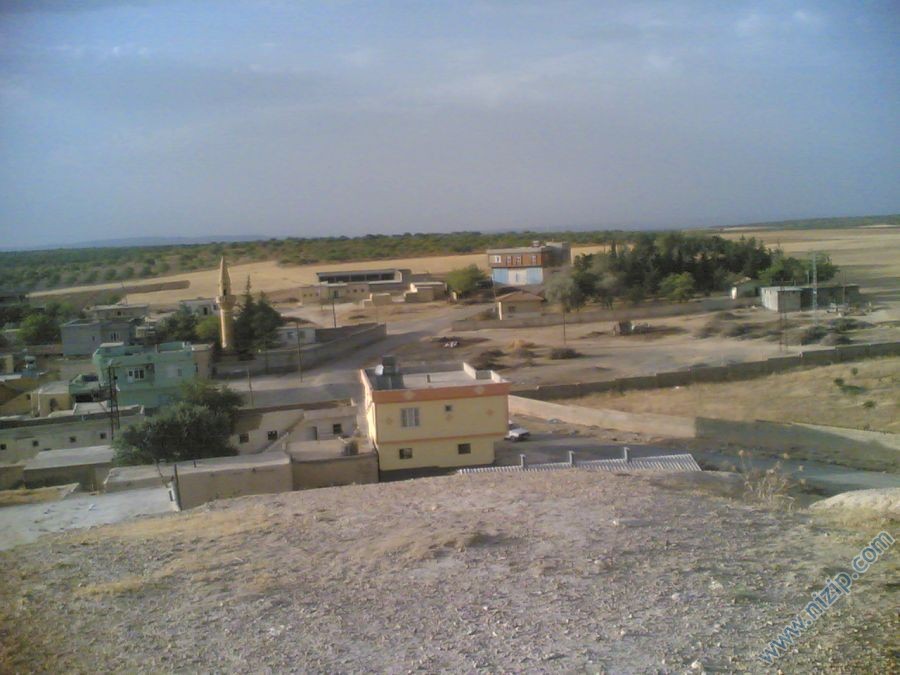 dazhüyük köyü 