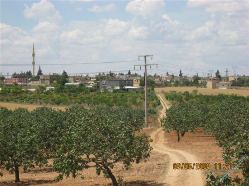 dutlu köyü 