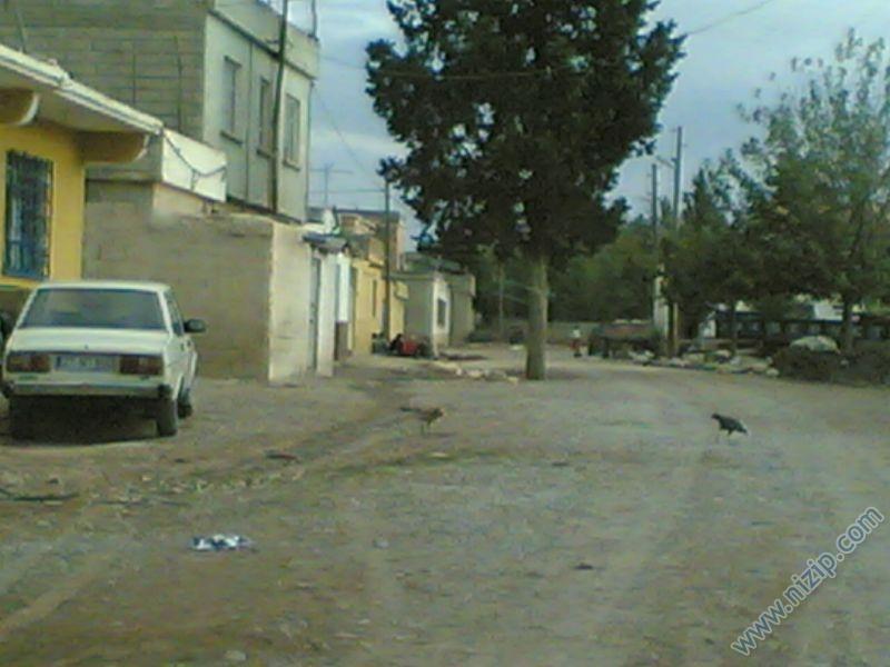 köyün girişi 