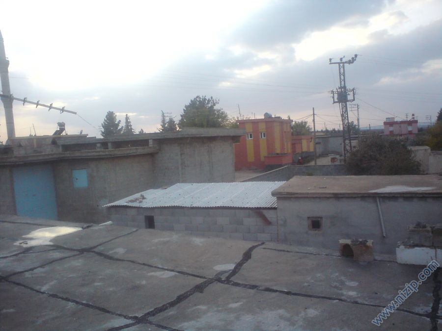 izan 