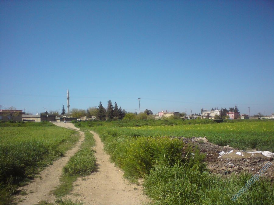 izan 