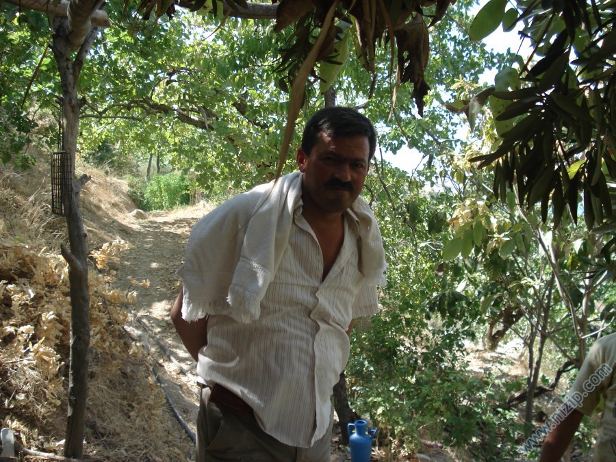 Cemal Çiftçi 