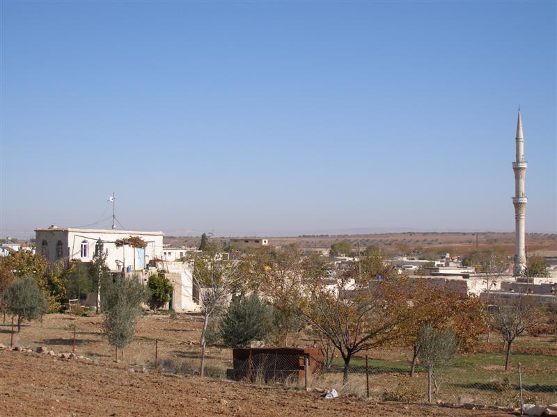 1741-20061218193209_2957_1 