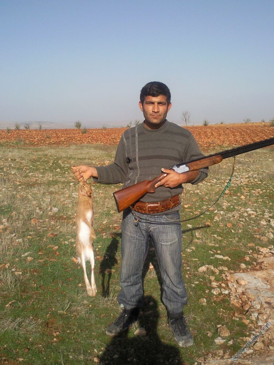 kürep avcları 