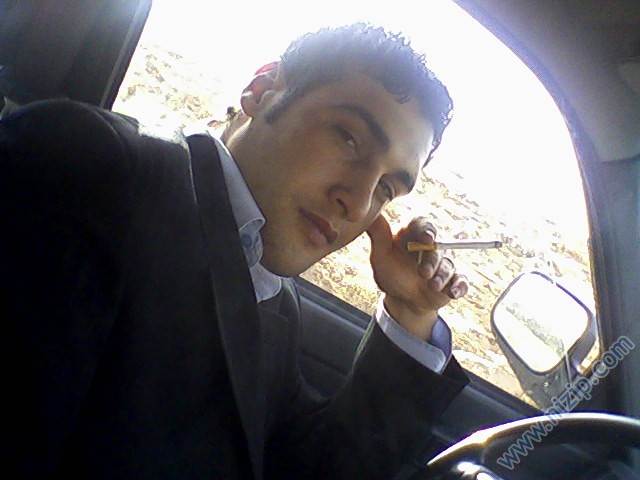 mehmet doğan 