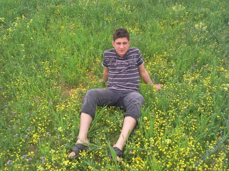 barakın gülü 