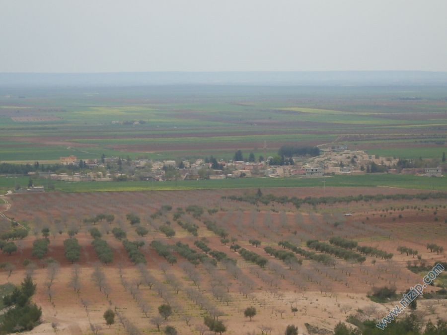 gökçeliye bakış 