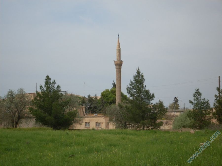 kürep resmi 