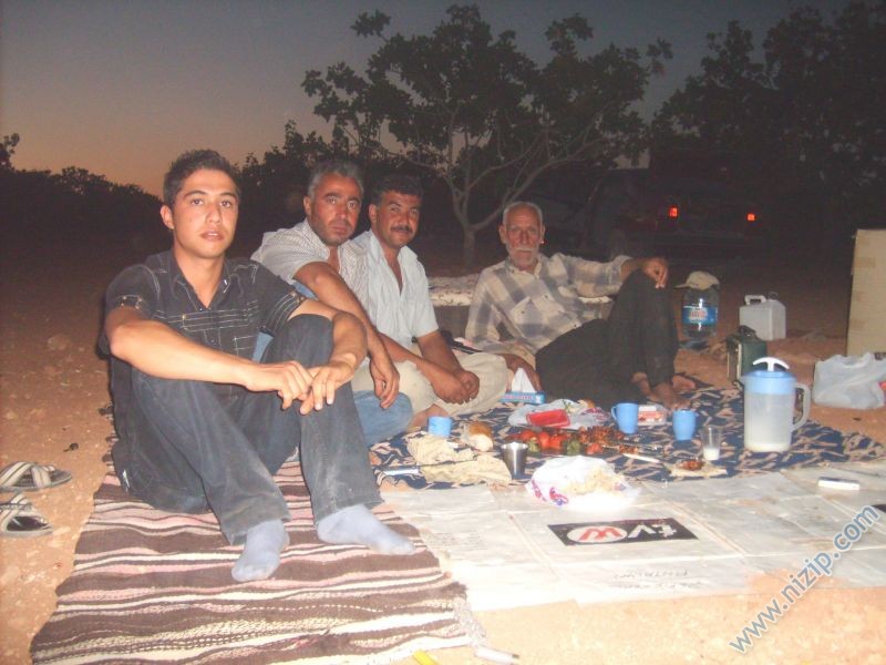 gece bekcileri 