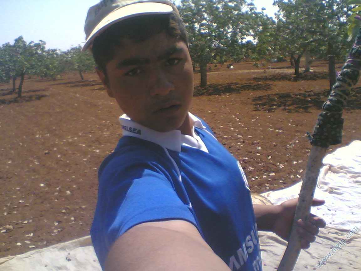 bilo 