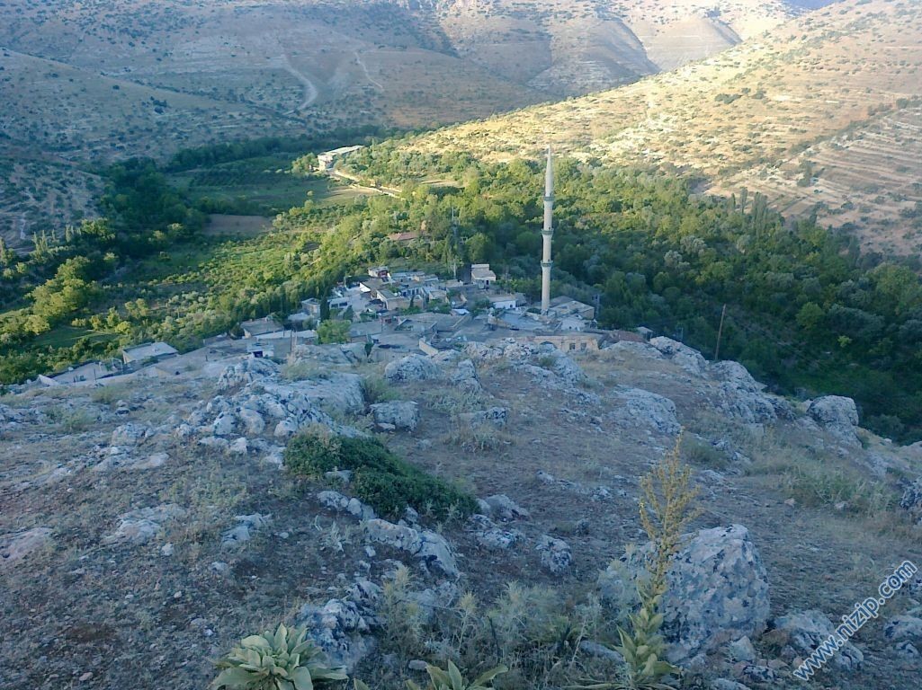 güder 