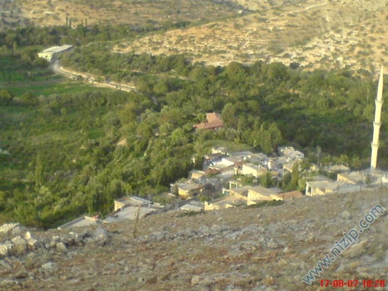 kuşdam güder 