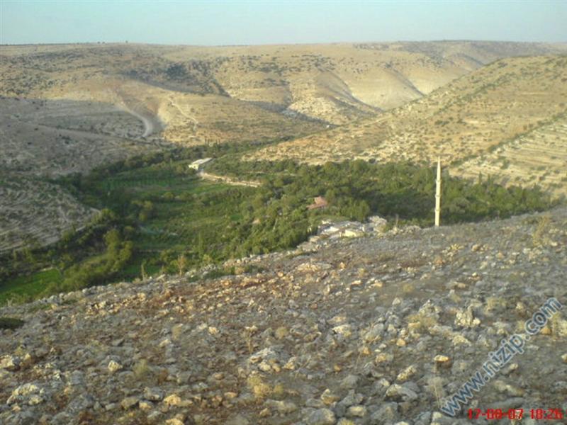 güder 
