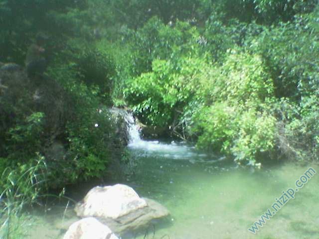 cobur gole hamure 