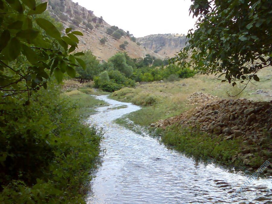 culluk deresi 