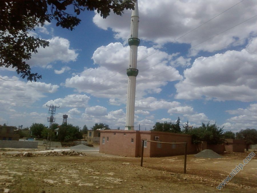 cobur camisi 
