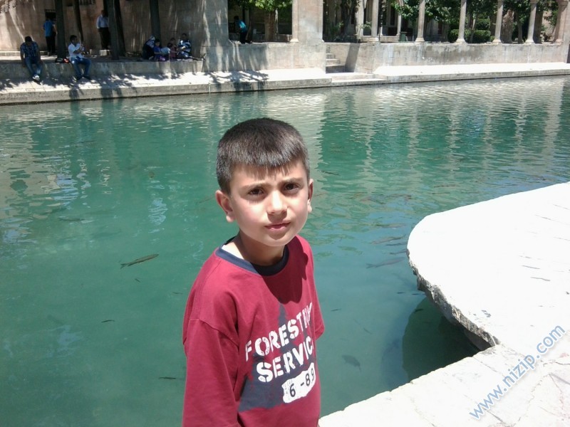 mehmet aslan 