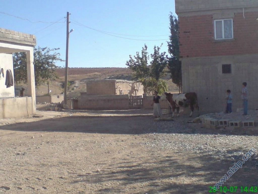 hancağız 