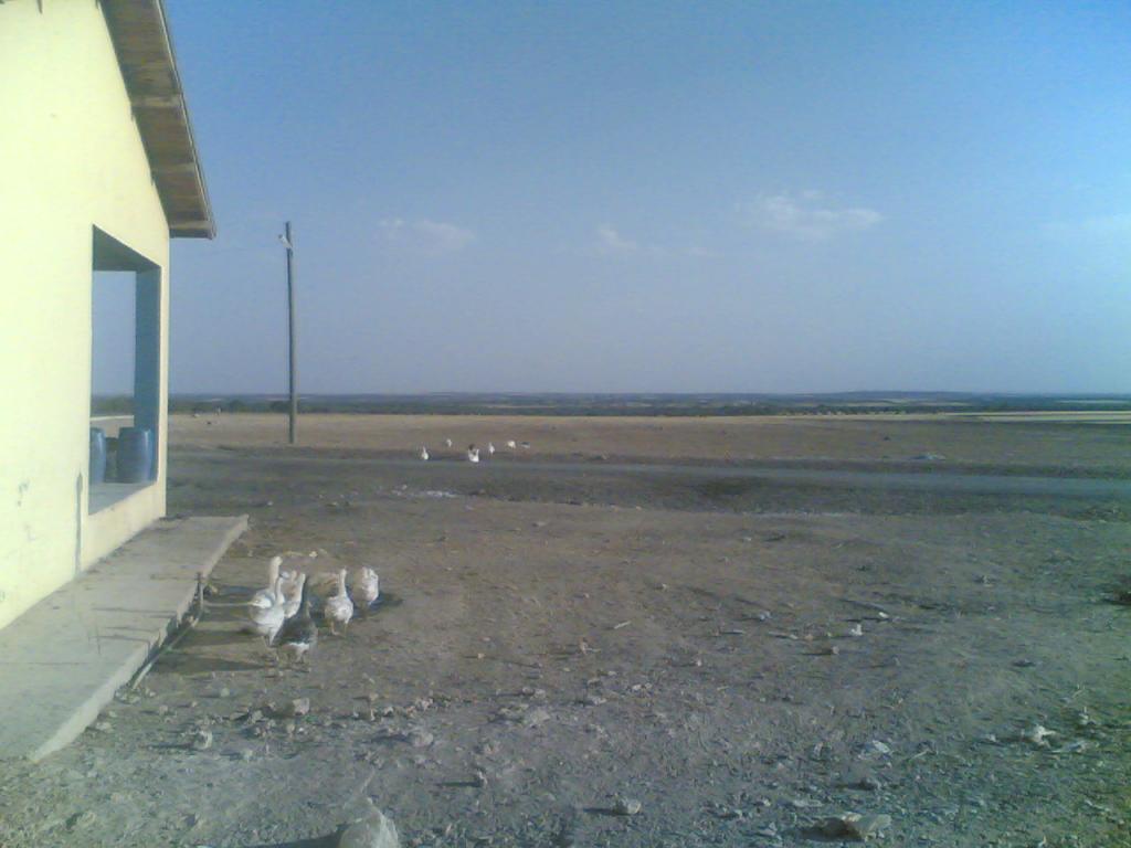 ikizce köyü 