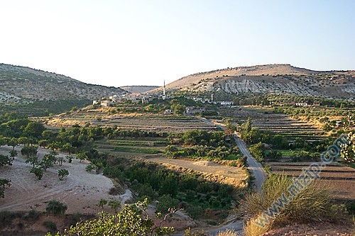 zergil 