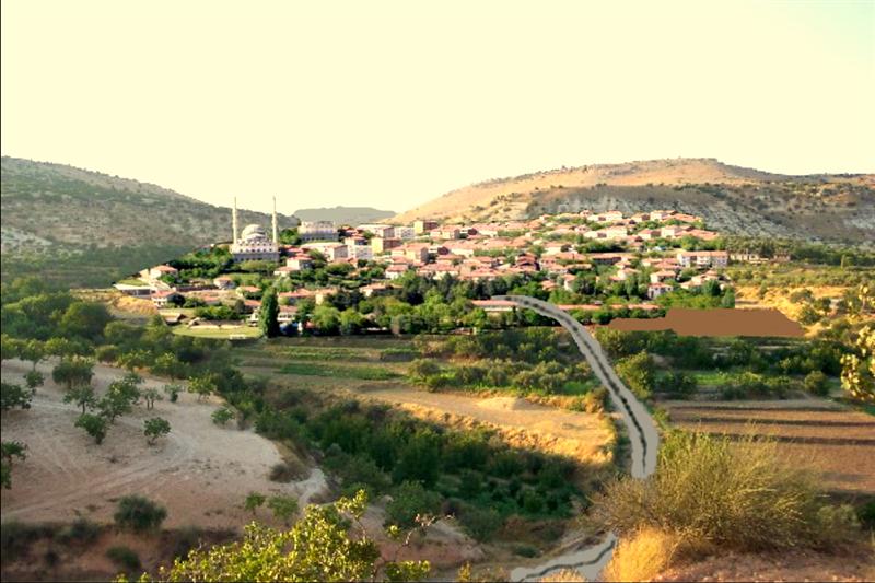 yenı zergil 