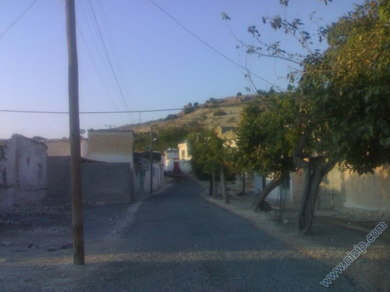 zergil meydanı 