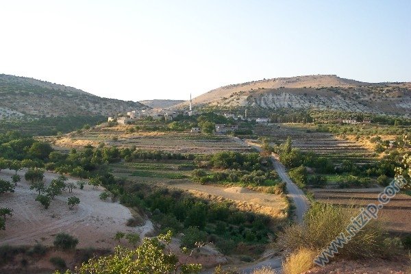 zergil yenı 