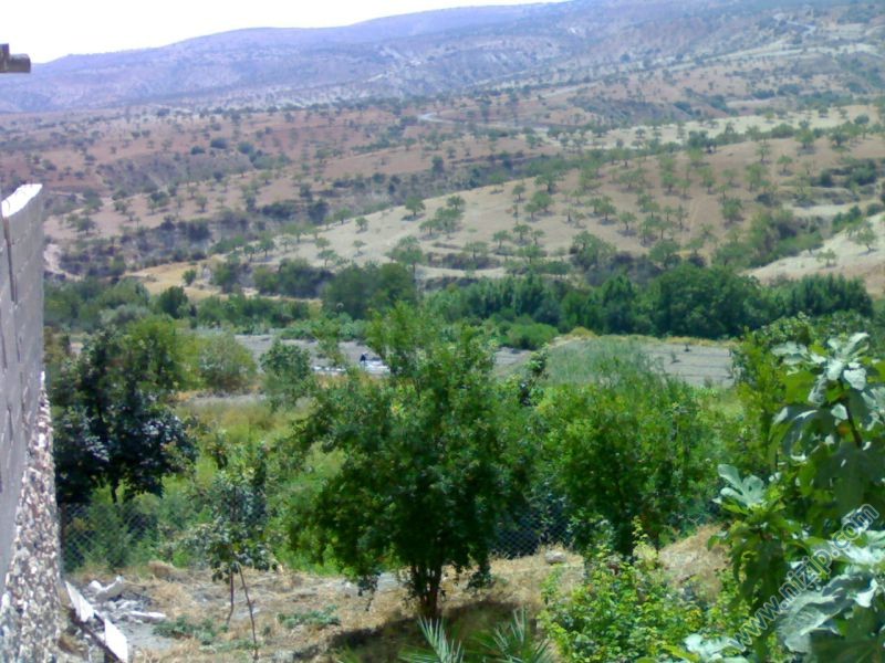 zergilın güneyı 