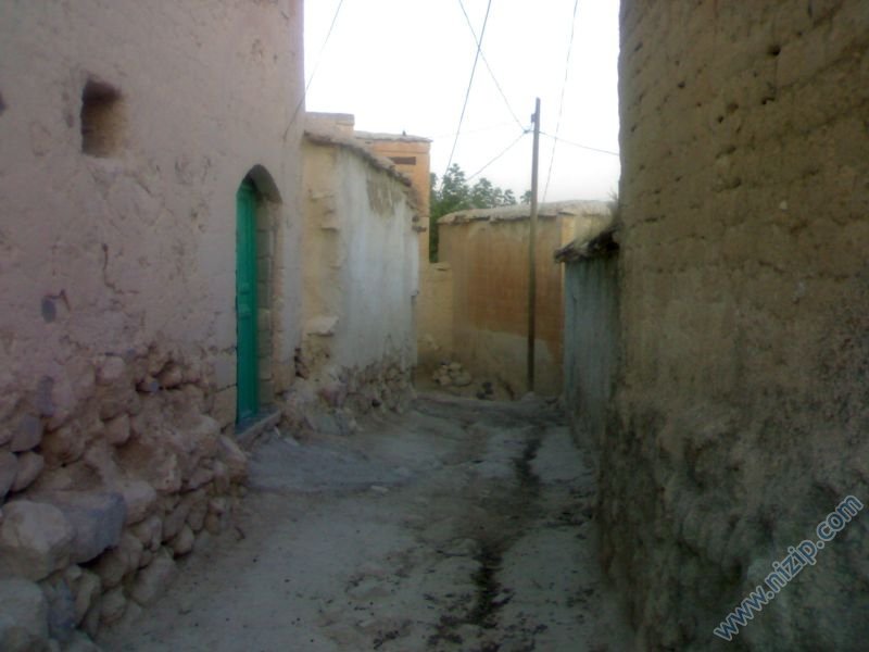 zergil 