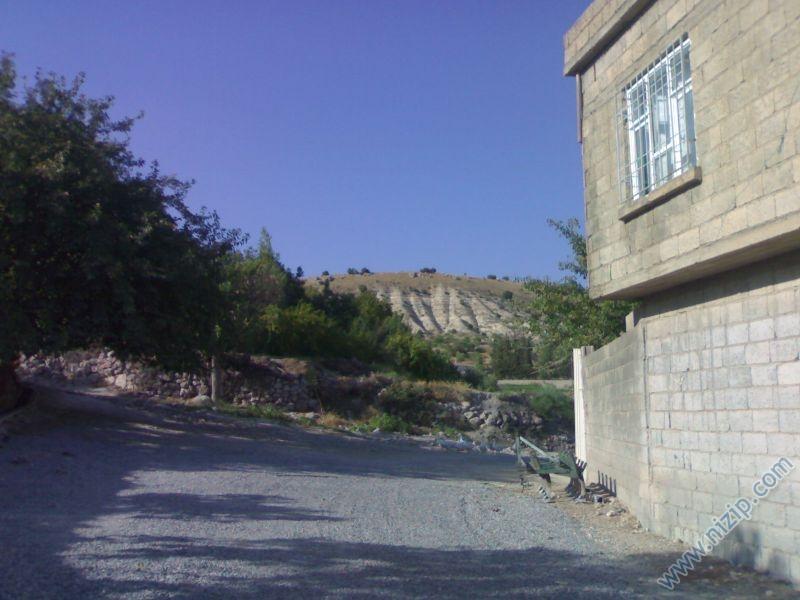 zergi 
