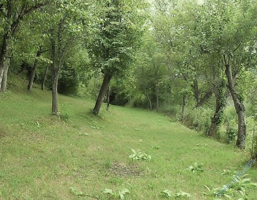 bahçe 