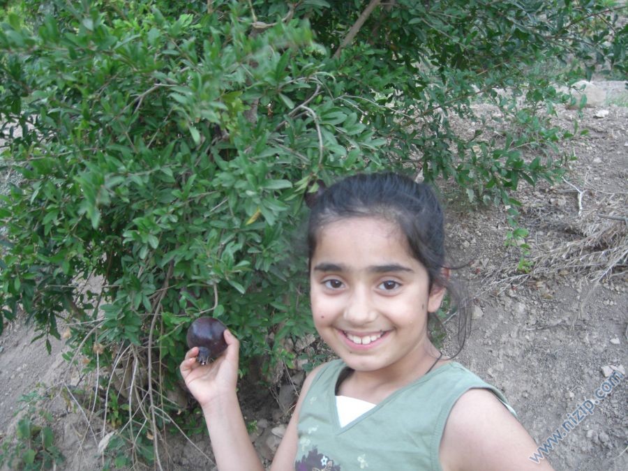 siyah nar ve kizim 