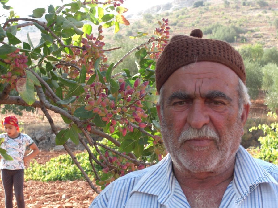 haci mehmet akpinar 