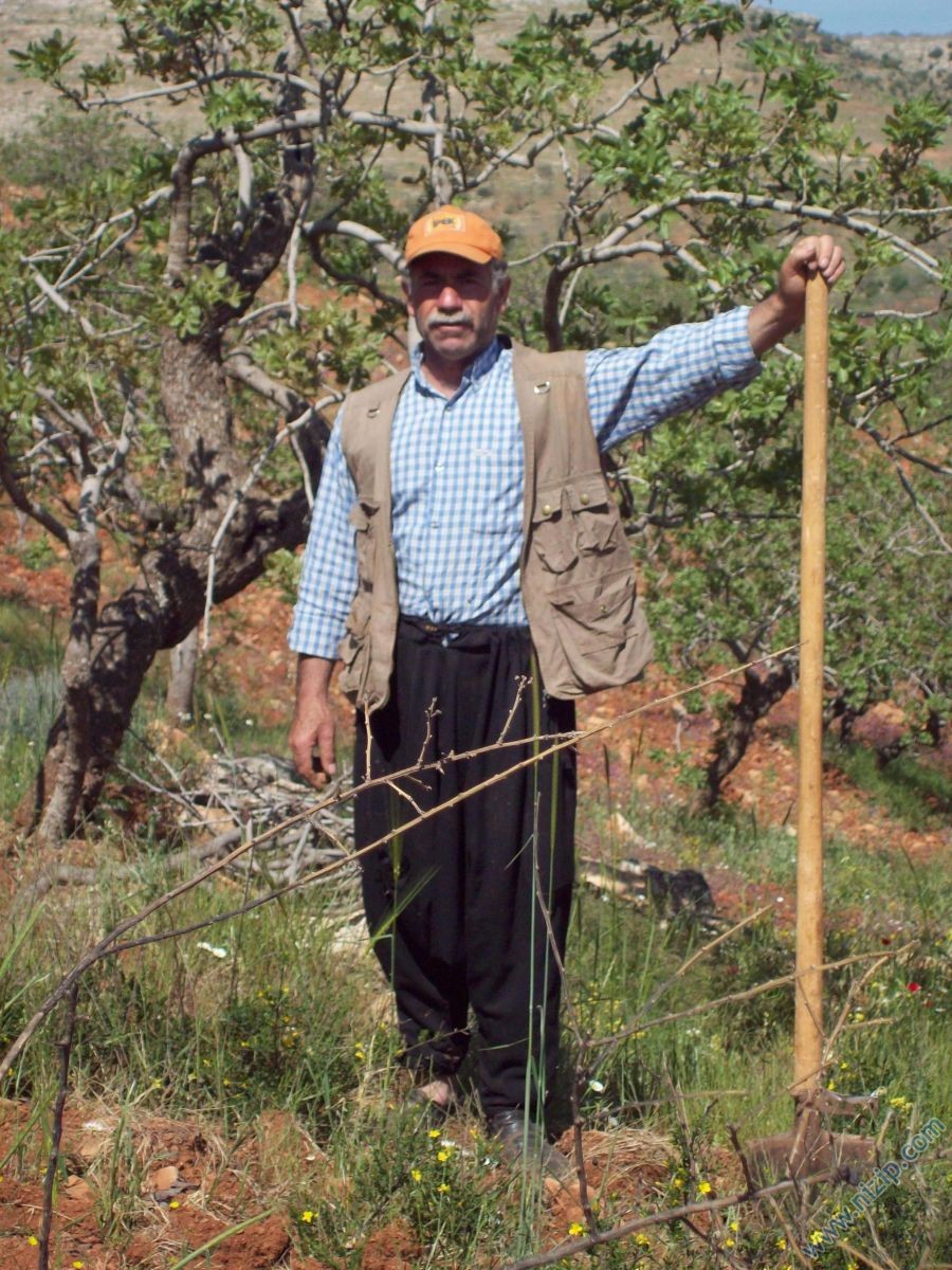 MEHMET FATİH BOZKAYA 