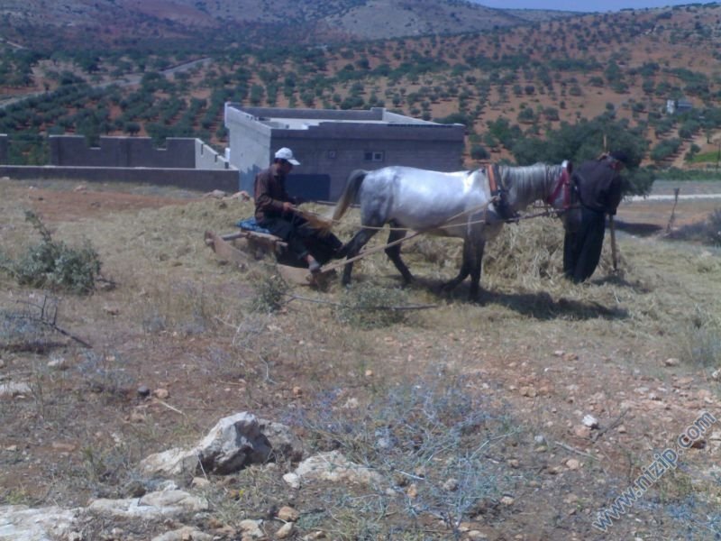 KIZILİN  KÖYÜ 