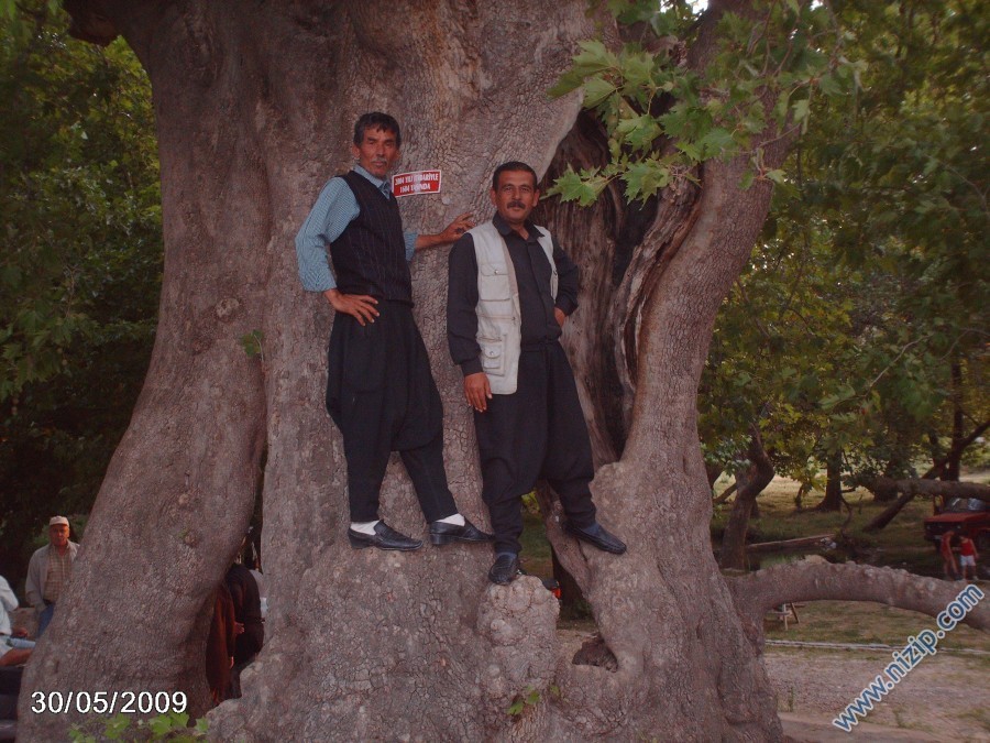 has mamed ve kayınbiraderi habeş 