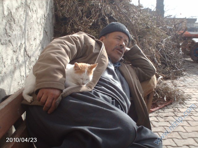 babam ve kedisi 