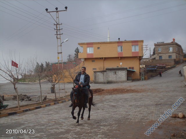 ali çalı 