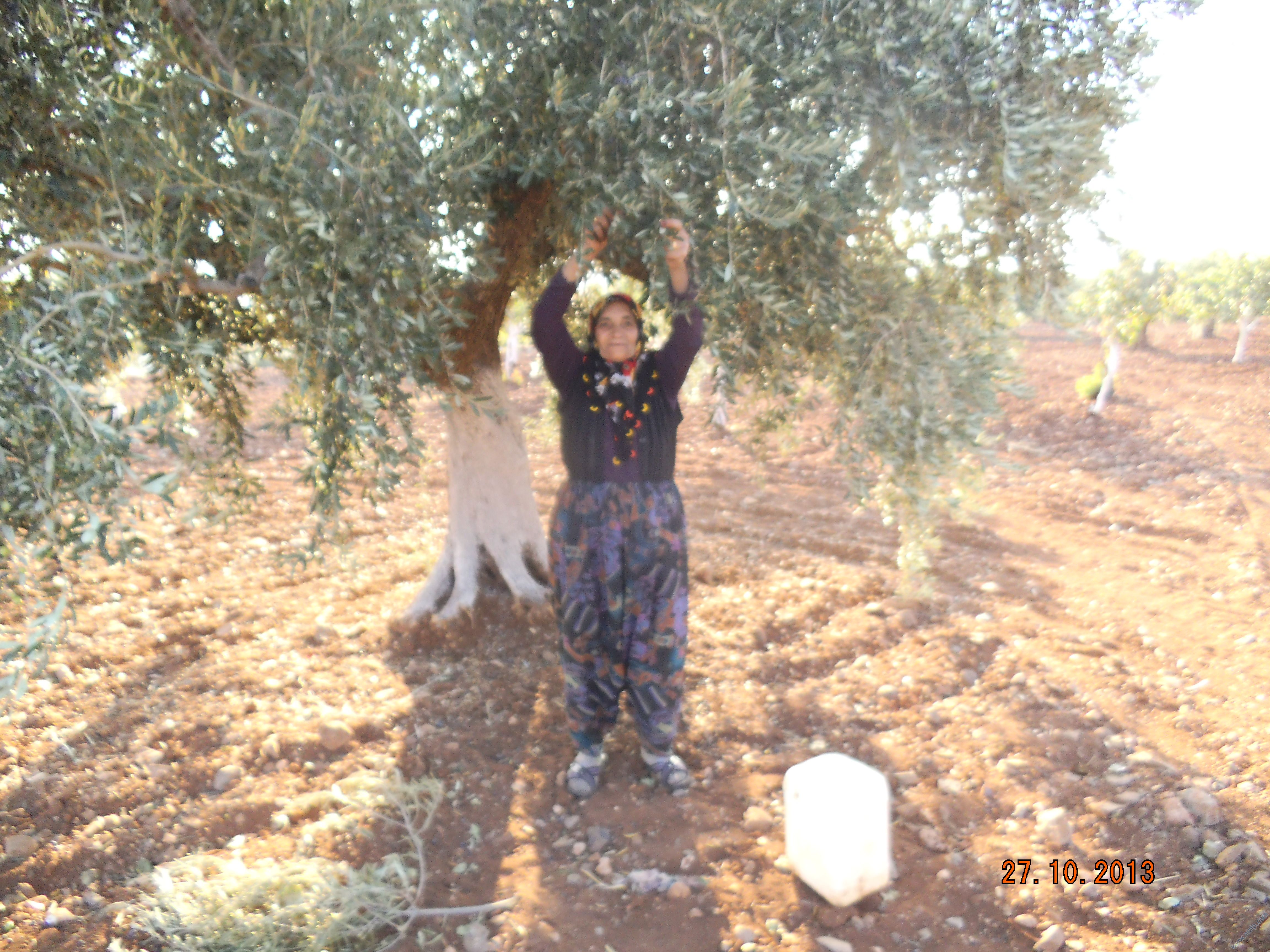 sultan kara 