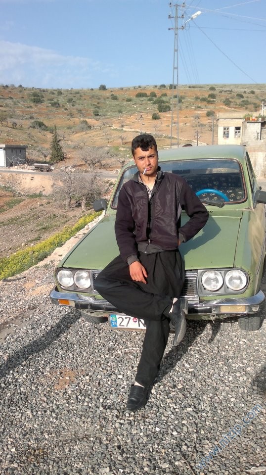 delbir koyu 