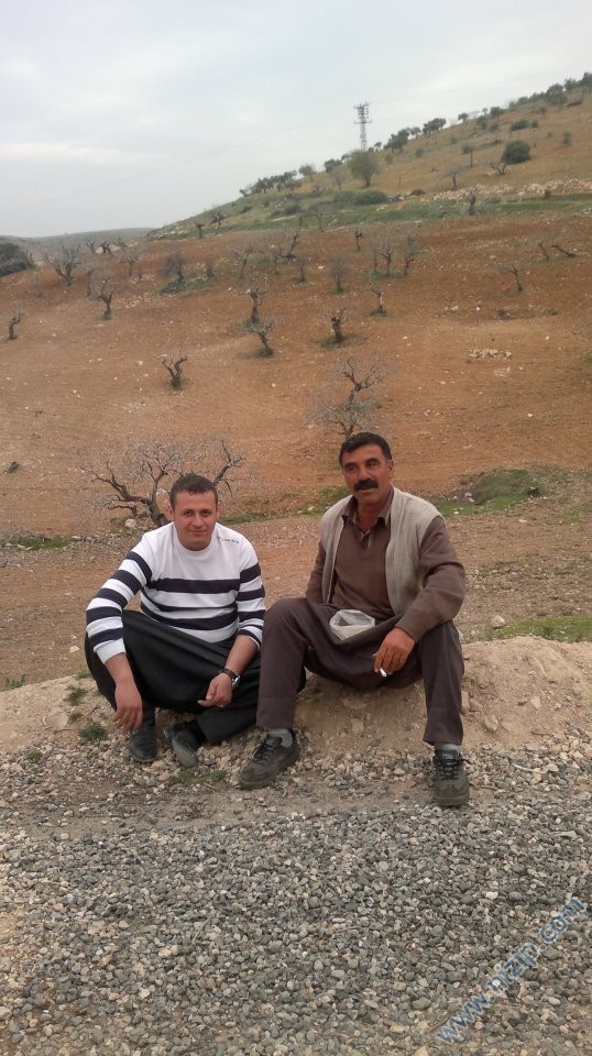 delbir koyu 