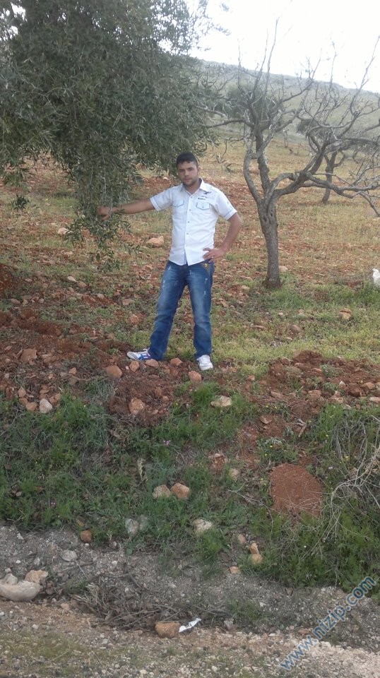 delbir koyu 