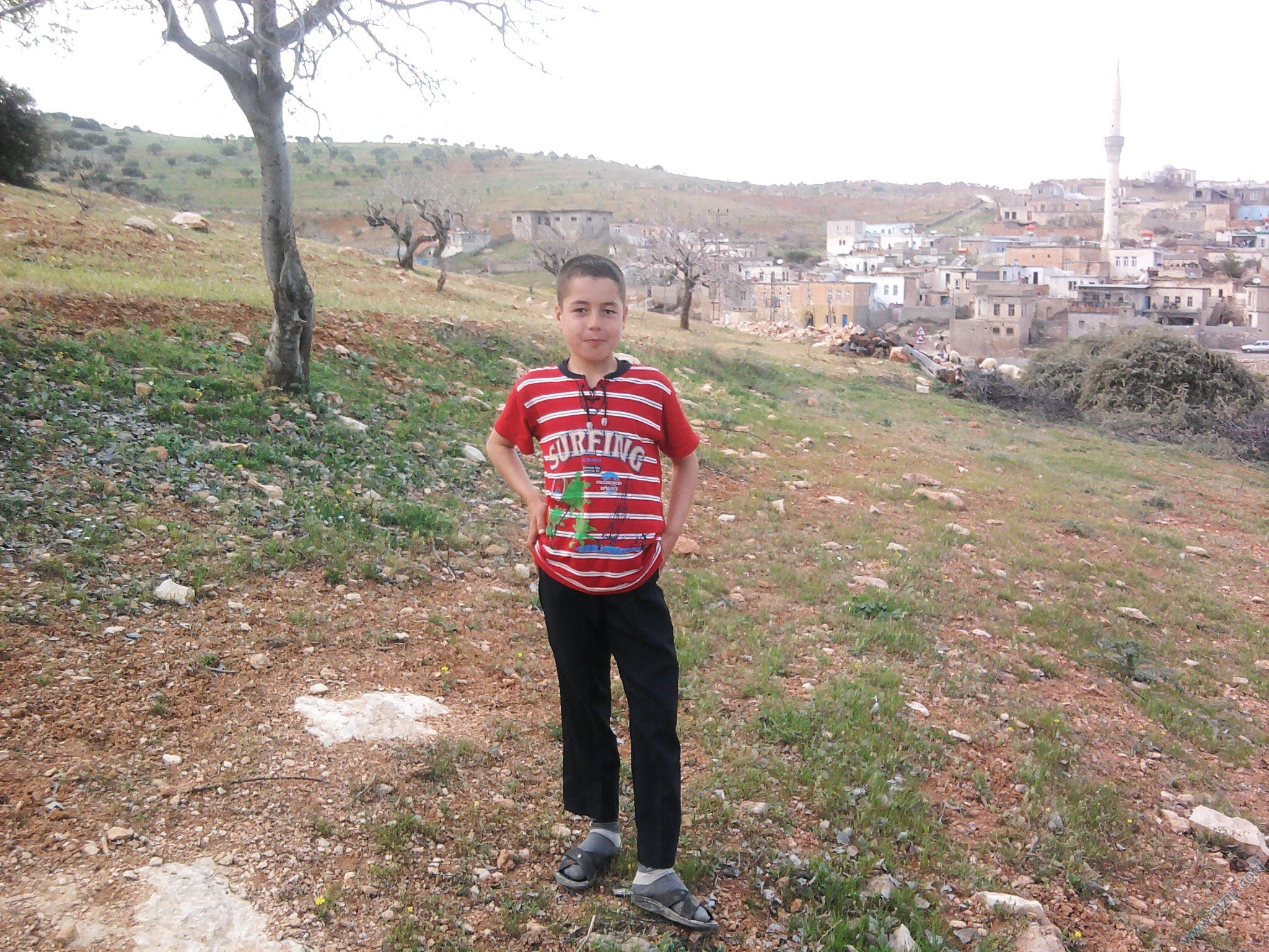delbir koyu 